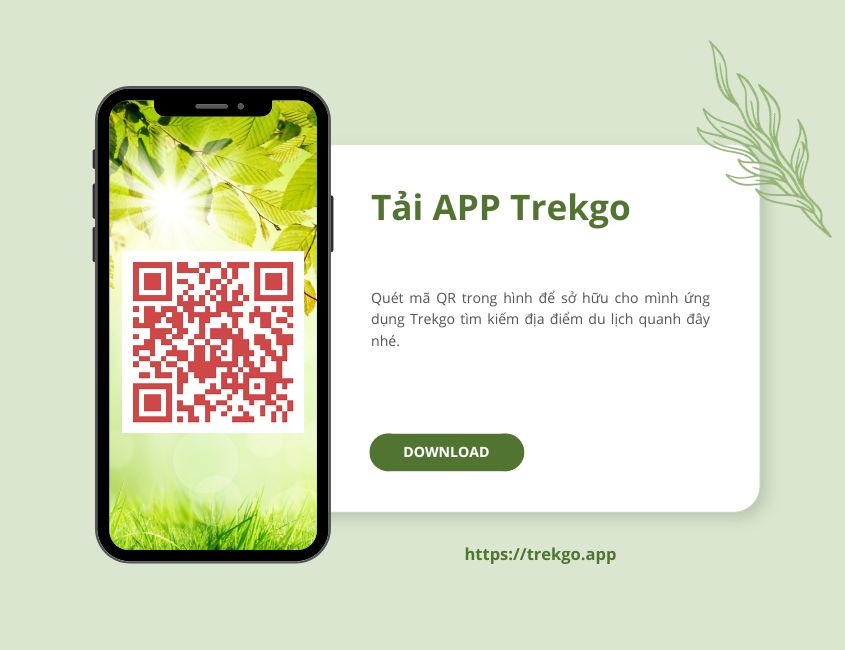 Tải APP Trekgo 